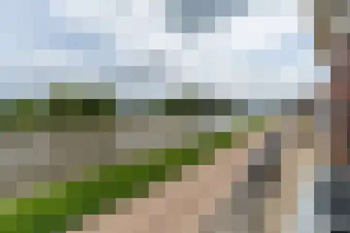 Zuidkade 190 Waddinxveen thumbnail 41