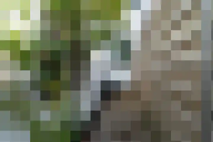 Zuidkade 190 Waddinxveen thumbnail 43