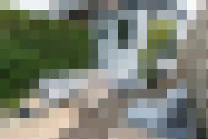 Zuidkade 190 Waddinxveen thumbnail 44