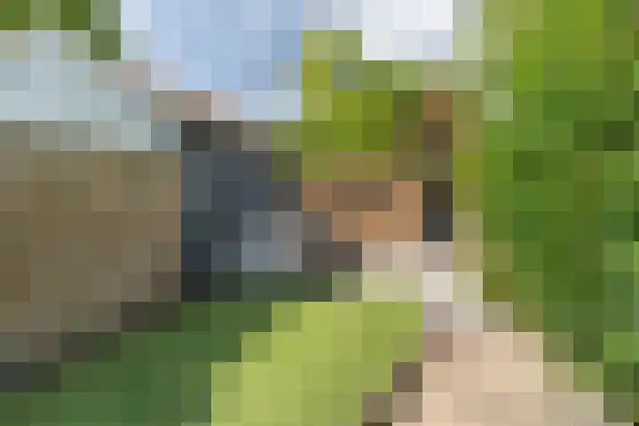 Zuidkade 190 Waddinxveen thumbnail 48
