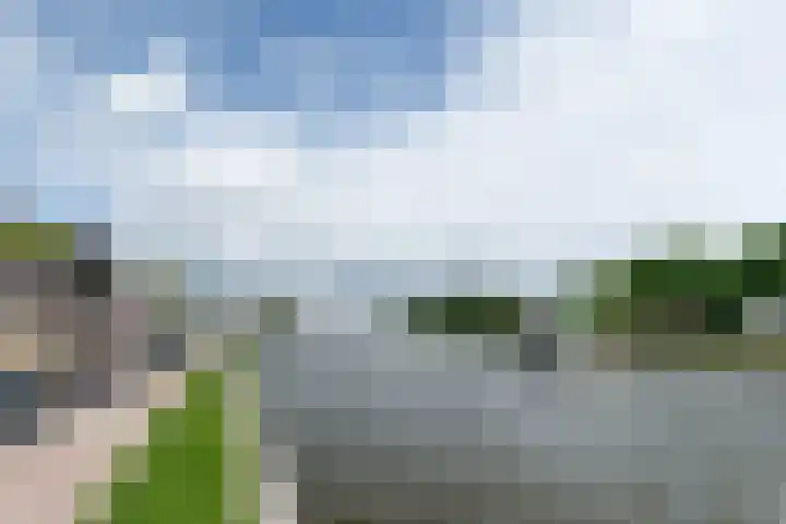 Zuidkade 190 Waddinxveen thumbnail 50