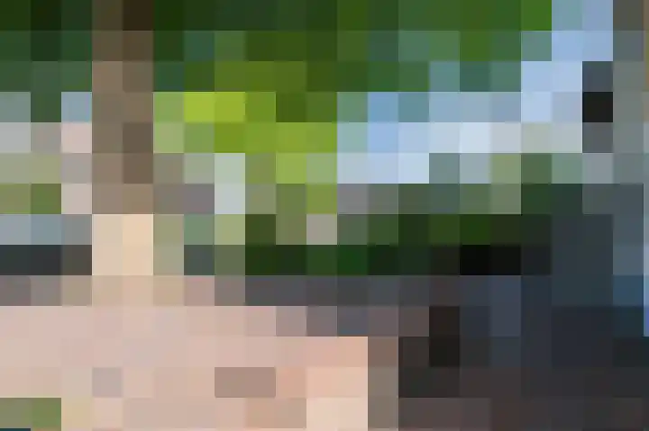 Zuidkade 2 Driebruggen thumbnail 33
