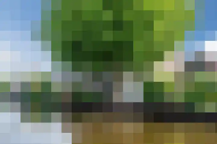 Zuidkade 2 Driebruggen thumbnail 37