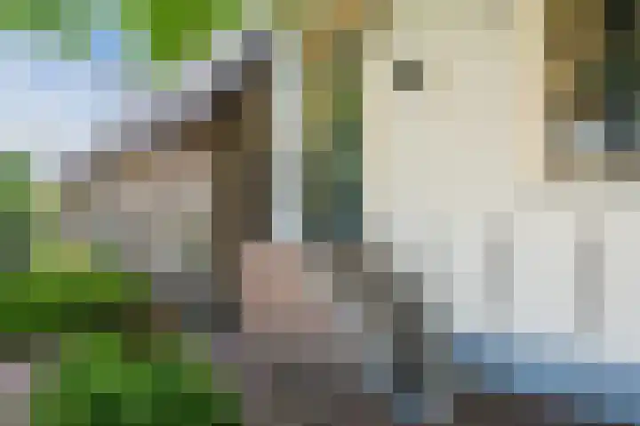 Zuidkade 2 Driebruggen thumbnail 5