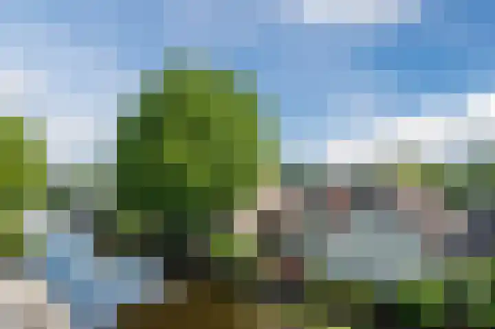 Zuidkade 2 Driebruggen thumbnail 6