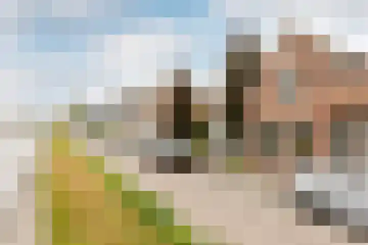 Zuidkade 218 Waddinxveen thumbnail 12