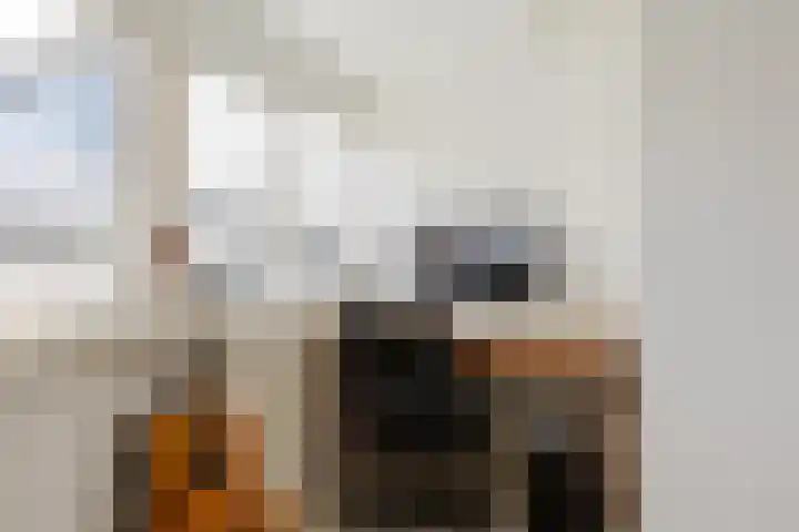 Zuidkade 218 Waddinxveen thumbnail 36
