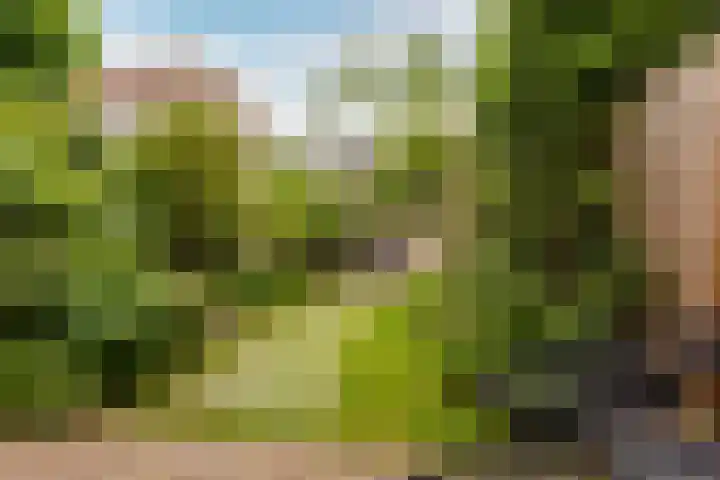 Zuidkade 218 Waddinxveen thumbnail 48