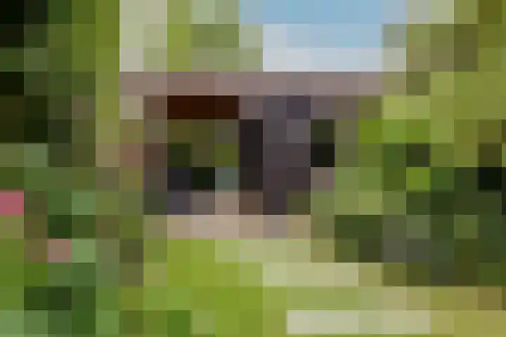 Zuidkade 218 Waddinxveen thumbnail 49