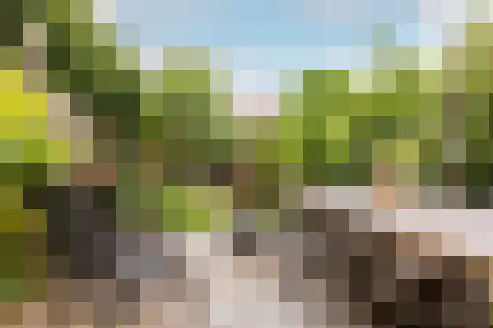 Zuidkade 218 Waddinxveen thumbnail 50