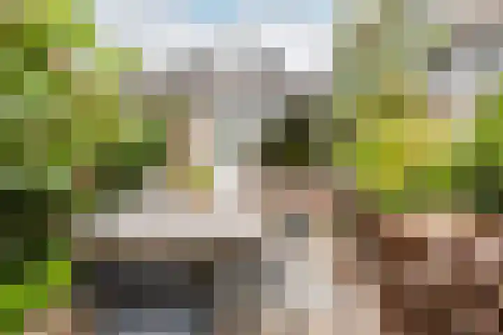 Zuidkade 218 Waddinxveen thumbnail 51