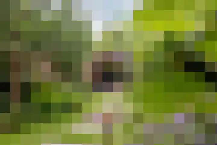 Zuidkade 218 Waddinxveen thumbnail 52