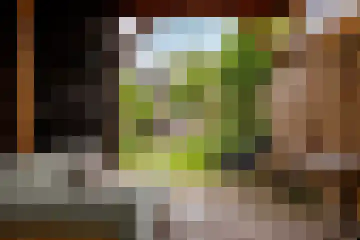 Zuidkade 218 Waddinxveen thumbnail 53