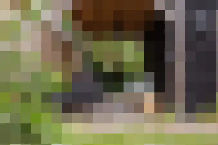 Zuidkade 218 Waddinxveen thumbnail 54