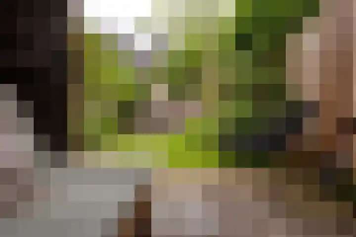 Zuidkade 218 Waddinxveen thumbnail 55