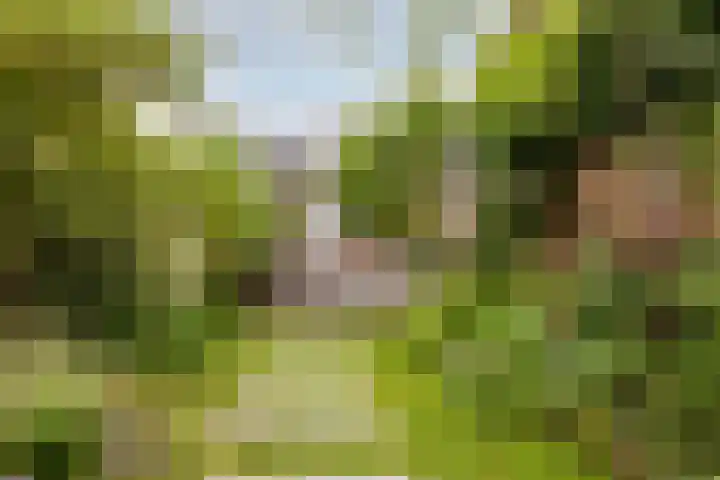 Zuidkade 218 Waddinxveen thumbnail 7