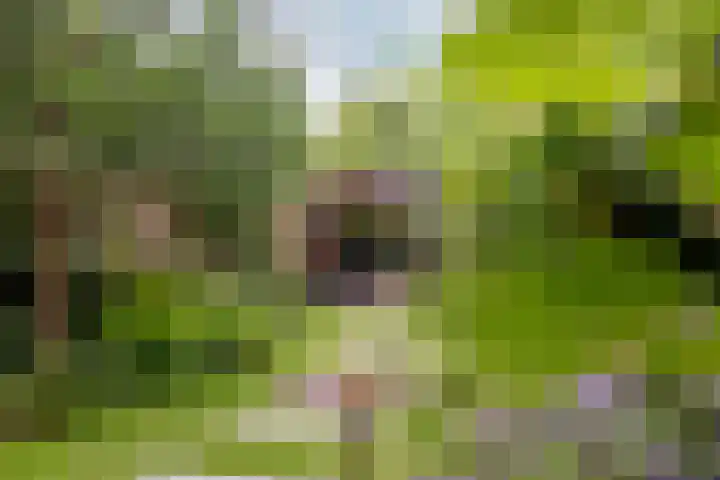 Zuidkade 218 Waddinxveen thumbnail 8