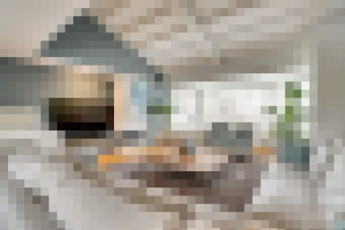 Zuidkade 220 Waddinxveen thumbnail 16