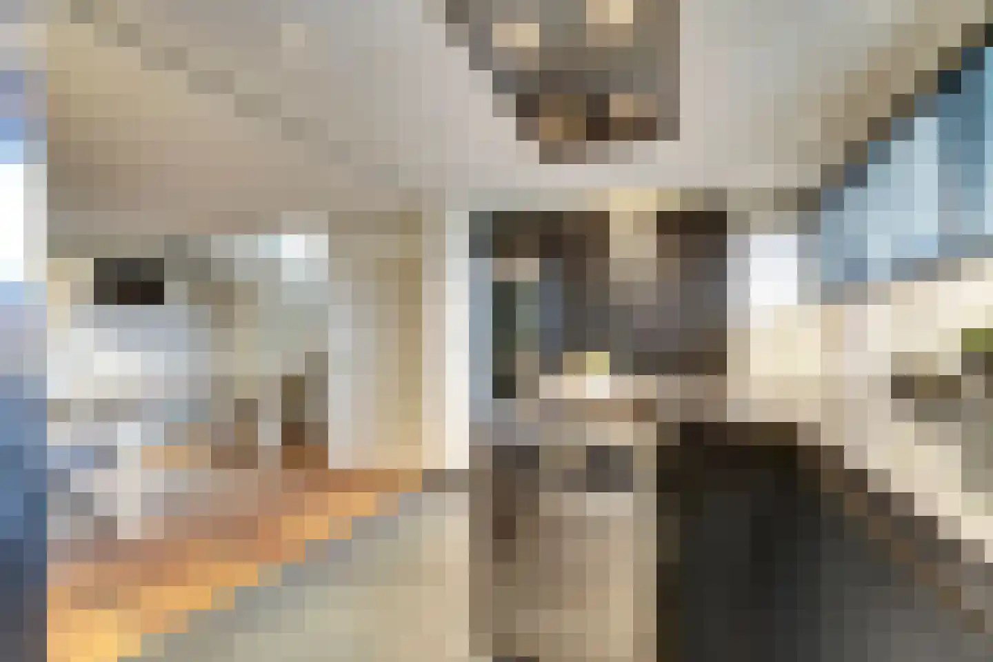 Zuidkade 220 Waddinxveen thumbnail 29
