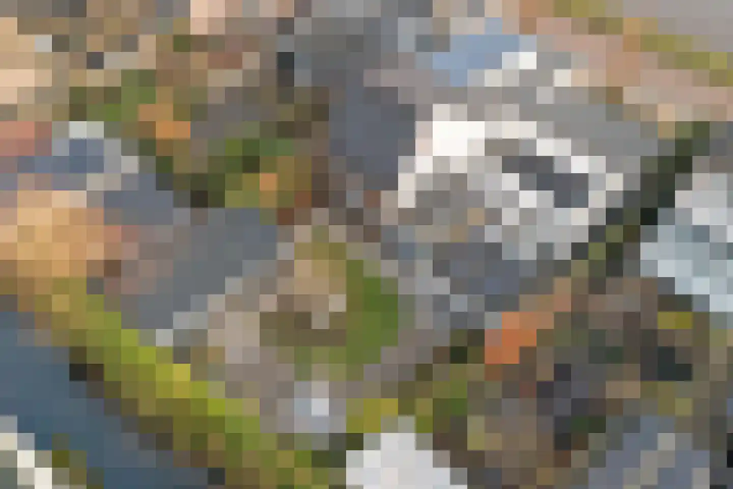 Zuidkade 220 Waddinxveen thumbnail 77
