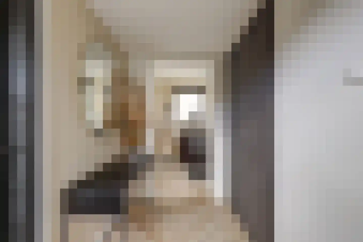Zuidkade 229 Waddinxveen thumbnail 11