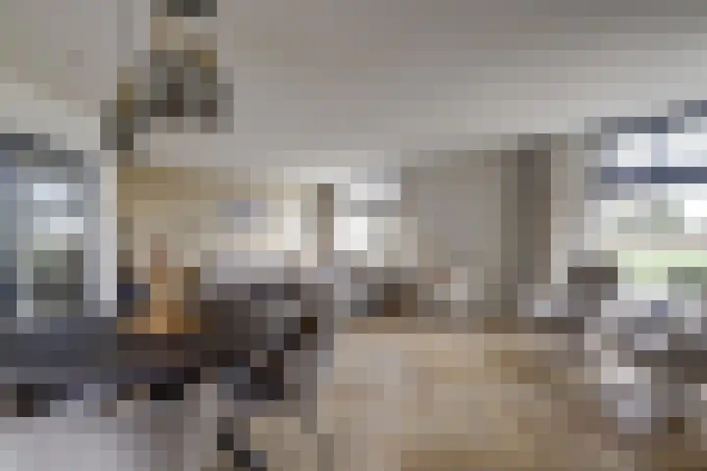 Zuidkade 229 Waddinxveen thumbnail 16