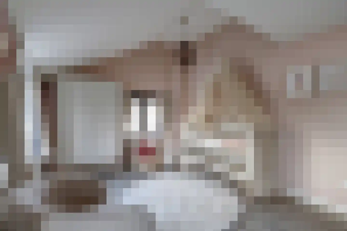 Zuidkade 229 Waddinxveen thumbnail 29