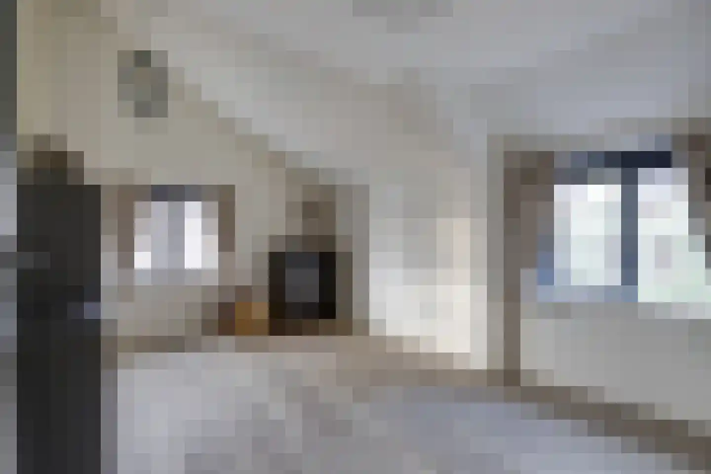 Zuidkade 229 Waddinxveen thumbnail 33