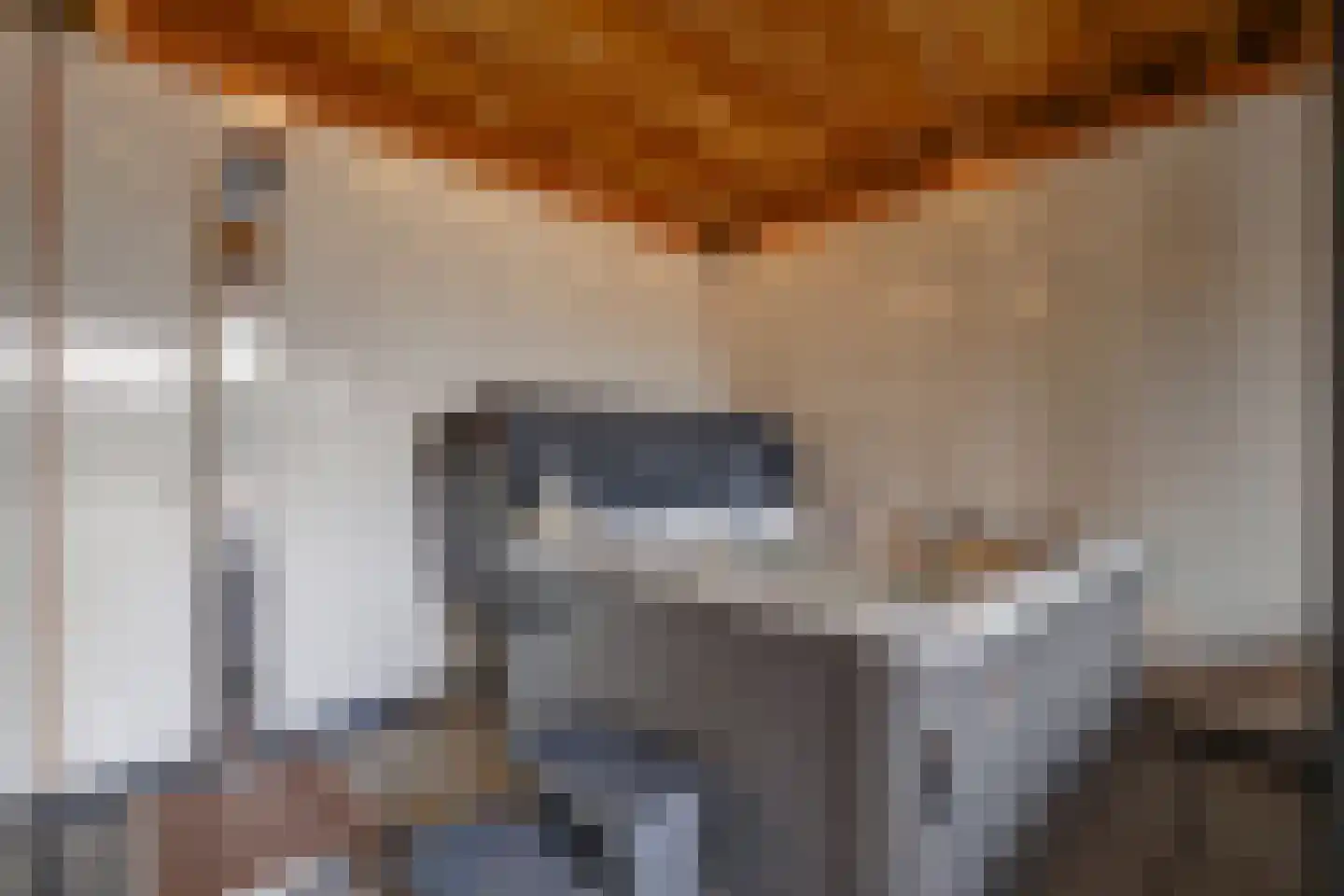 Zuidkade 229 Waddinxveen thumbnail 49