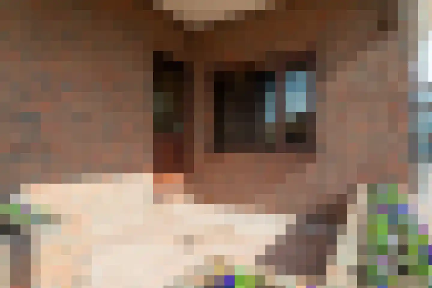 Zuidkade 37 Boskoop thumbnail 15