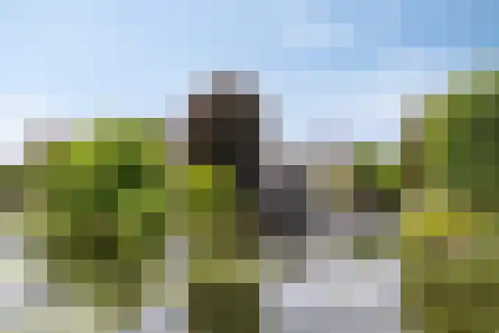 Zuidkade 49 in Boskoop