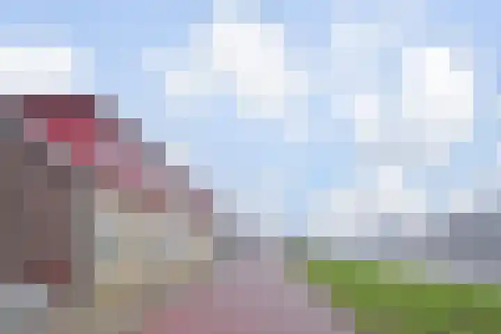 Zuidkade 49 Waddinxveen thumbnail 32