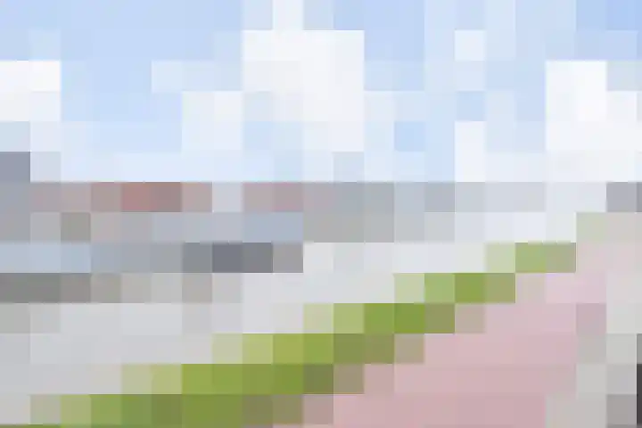 Zuidkade 49 Waddinxveen thumbnail 4