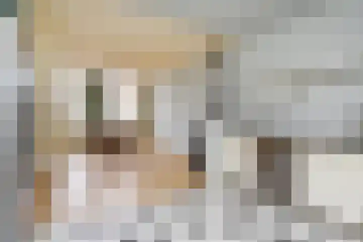 Zuidkade 49 Waddinxveen thumbnail 8