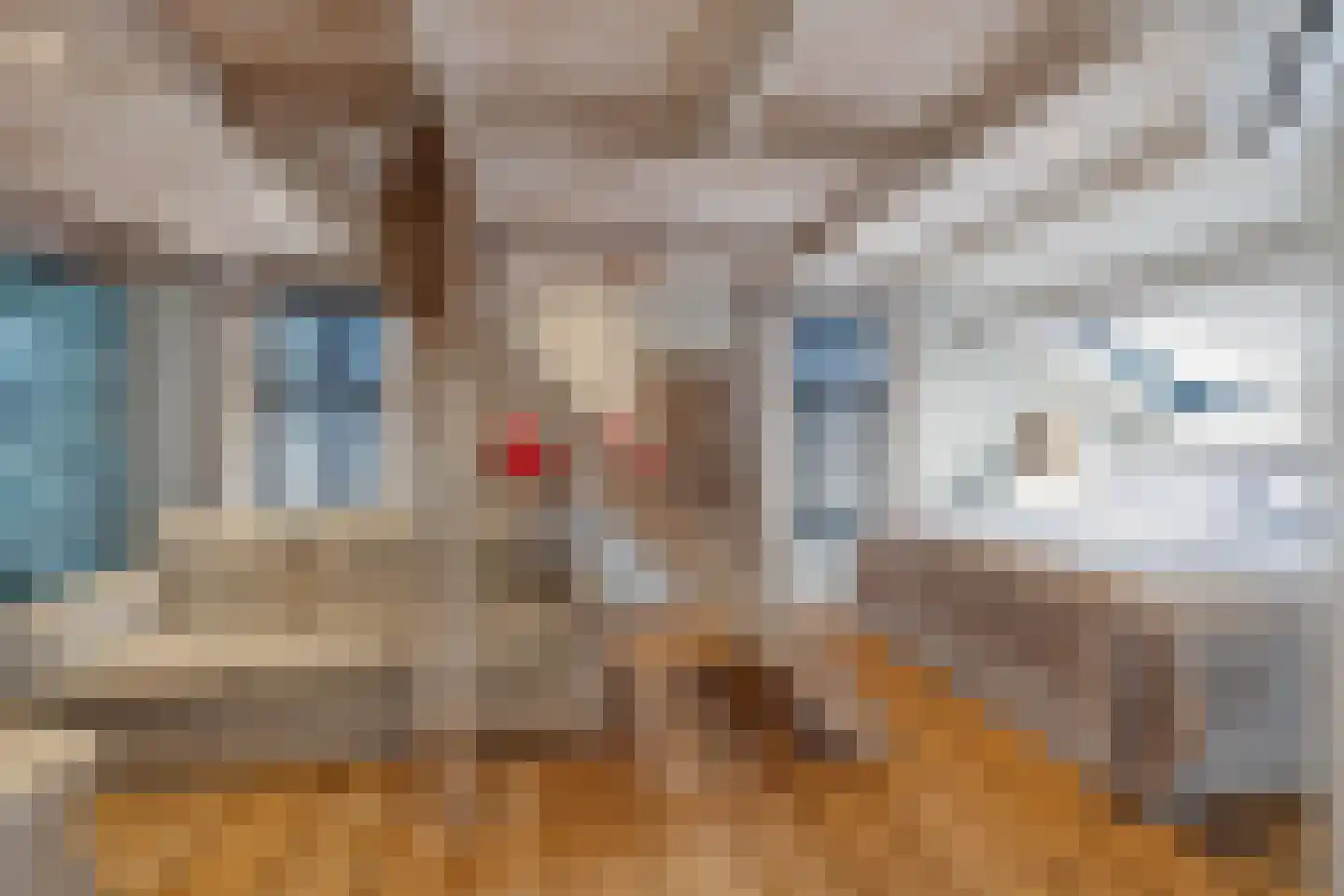 Zuidkade 56 Waddinxveen thumbnail 17