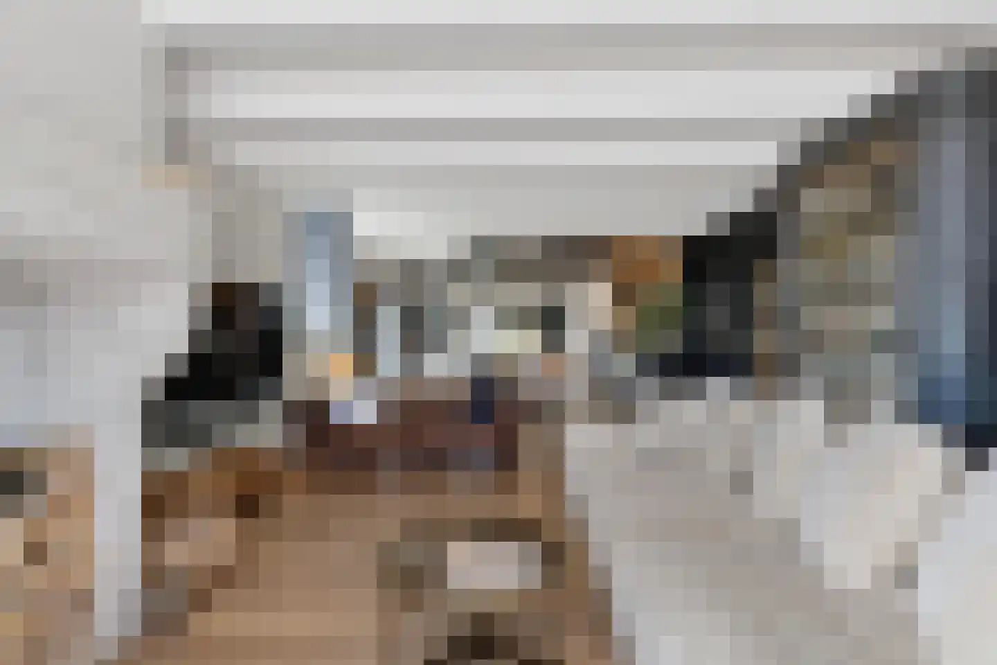 Zuidkade 56 Waddinxveen thumbnail 5