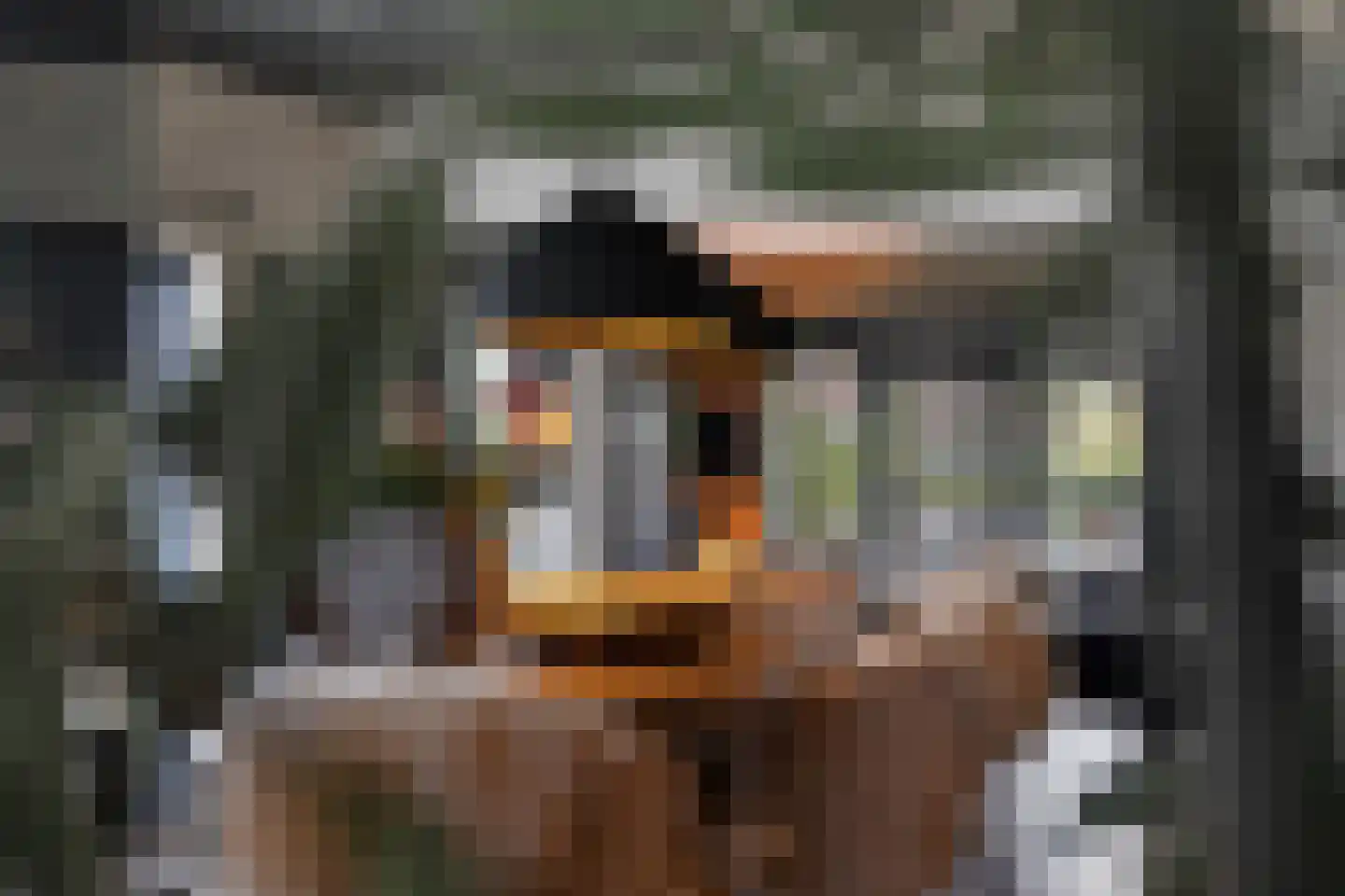 Zuidkade 56 Waddinxveen thumbnail 7