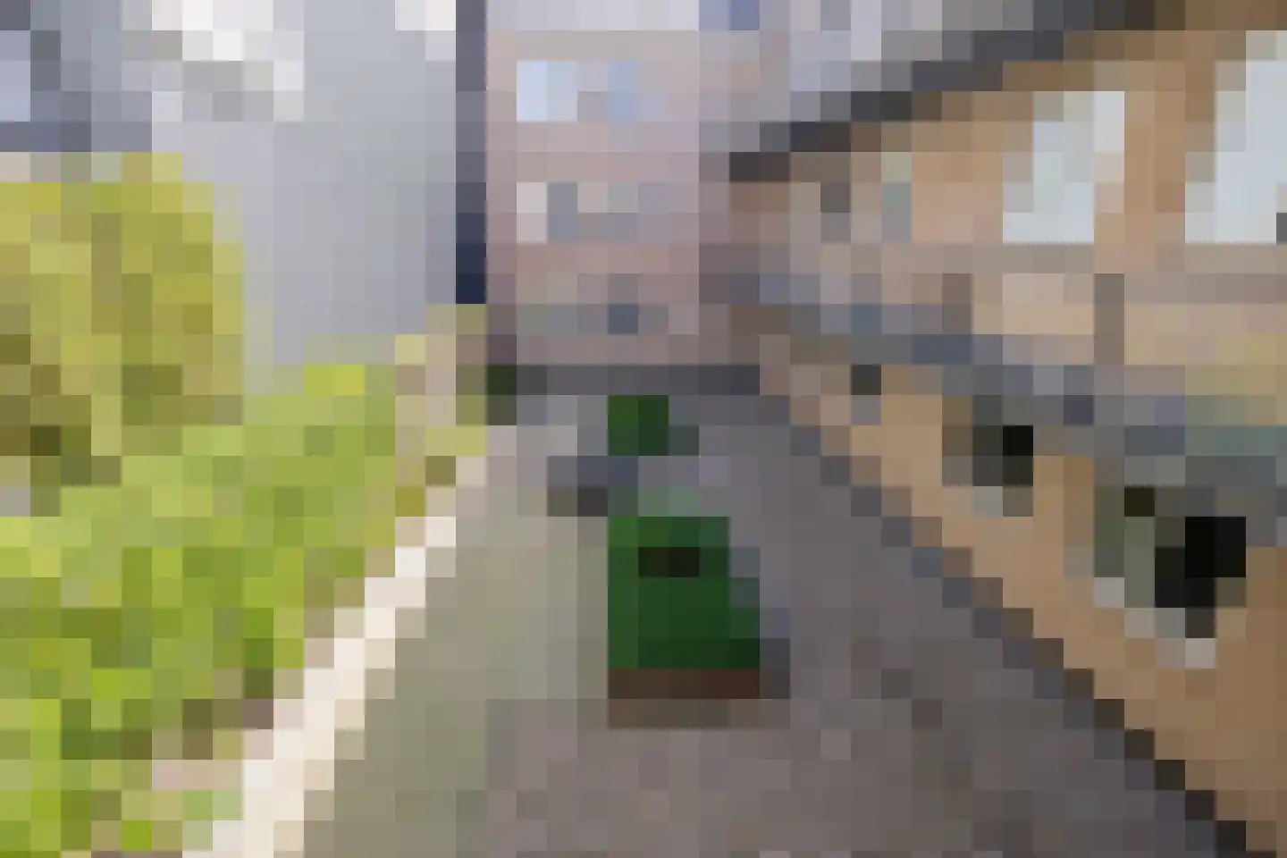Zuidkade 6 O Waddinxveen thumbnail 23