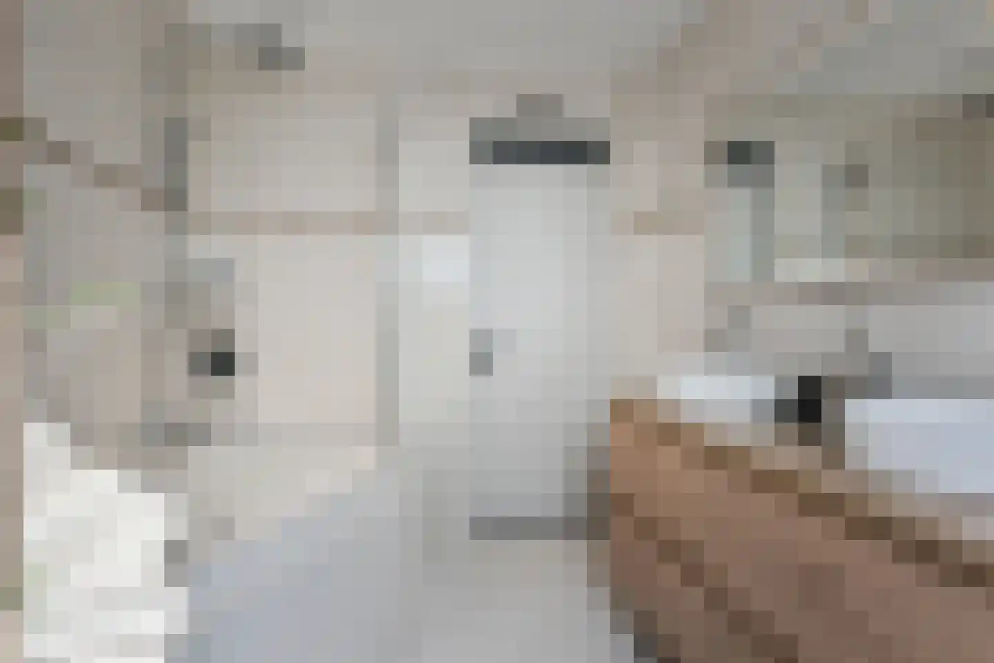 Zuidkade 84 Waddinxveen thumbnail 13