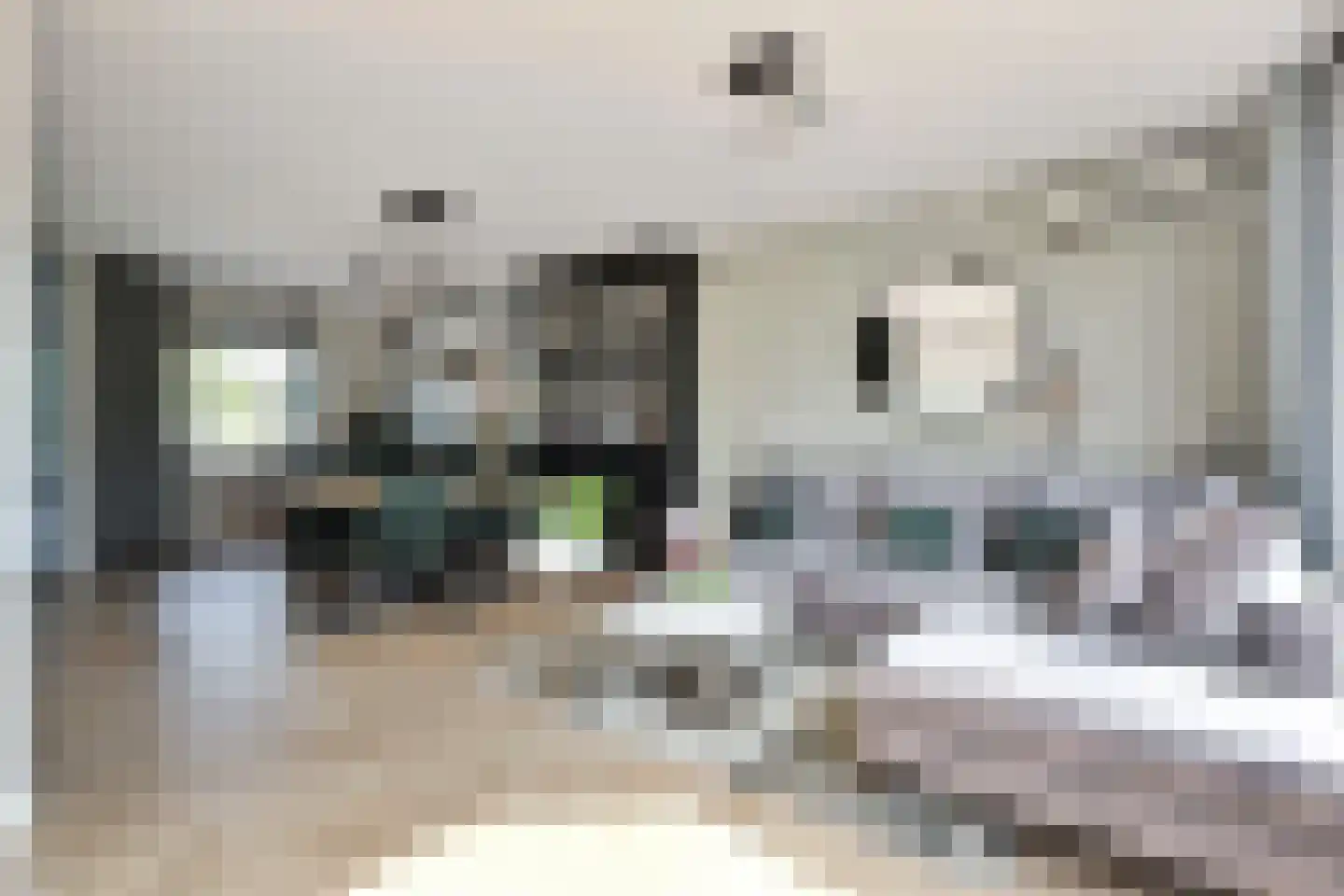 Zuidkade 84 Waddinxveen thumbnail 20