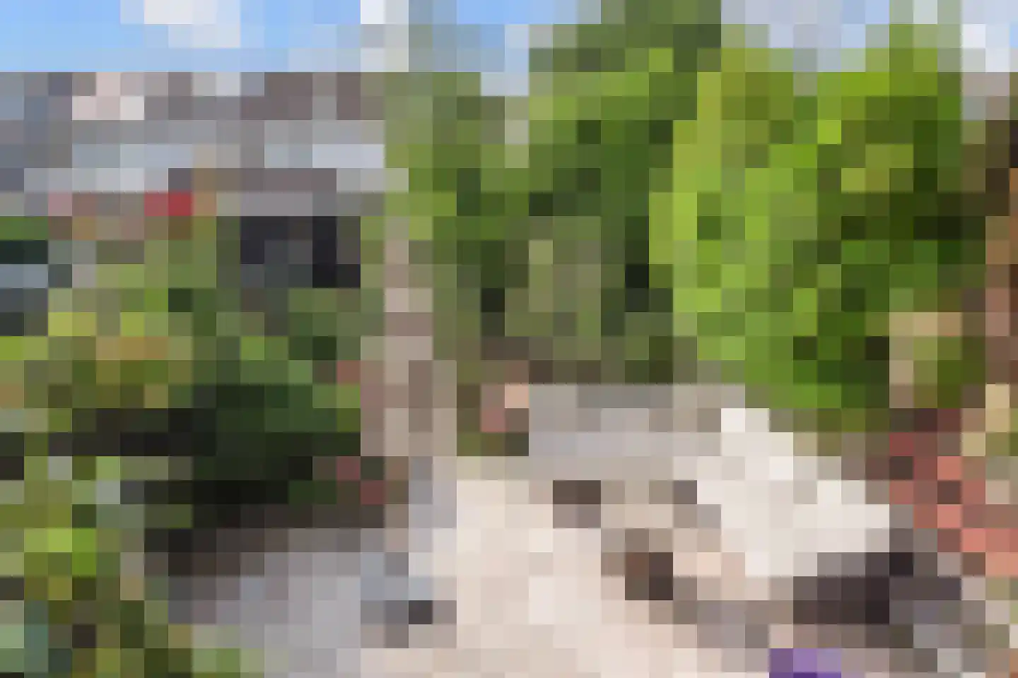Zuidkade 84 Waddinxveen thumbnail 32