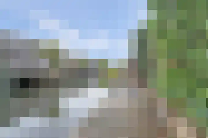 Zuidkade 89 Waddinxveen thumbnail 27