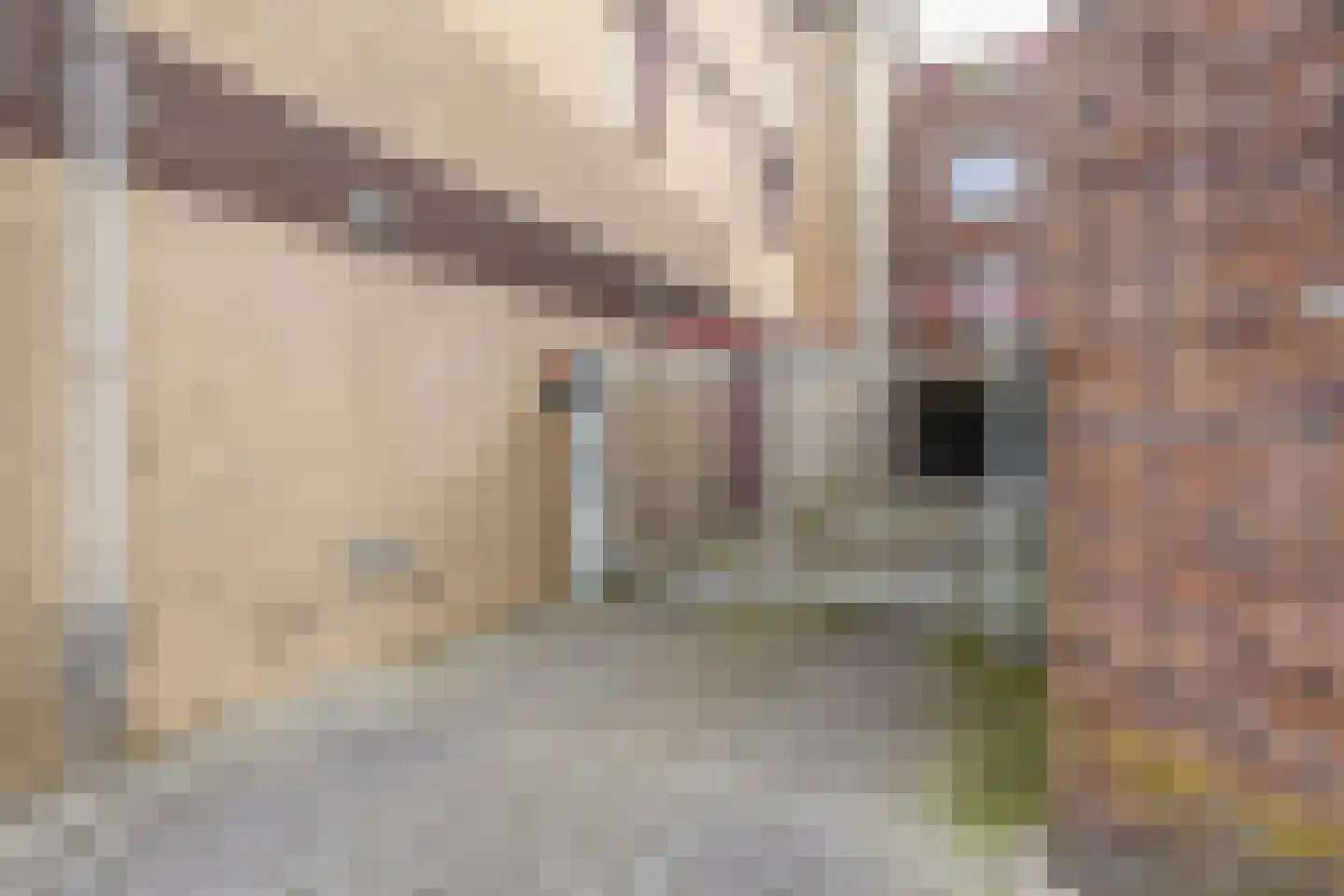 Zuidkade 92 E Boskoop thumbnail 31