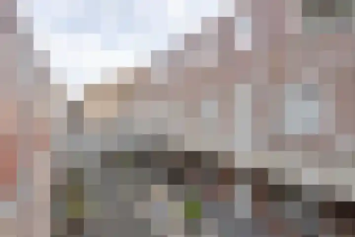 Zuidkade 92 F Boskoop thumbnail 19