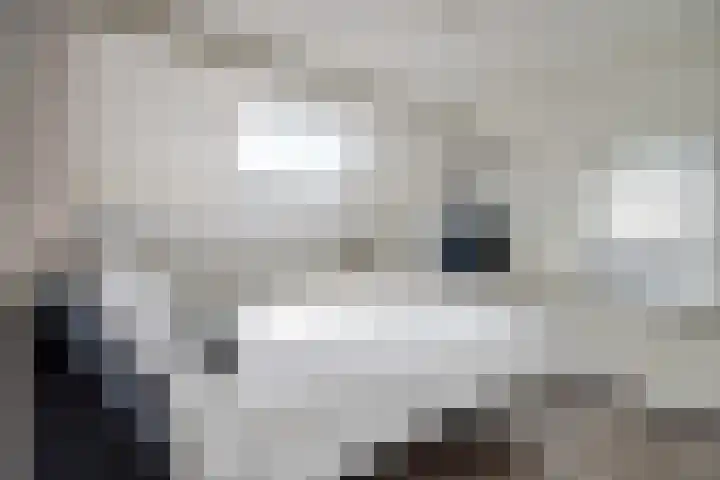 Zuidkade 93 Waddinxveen thumbnail 18