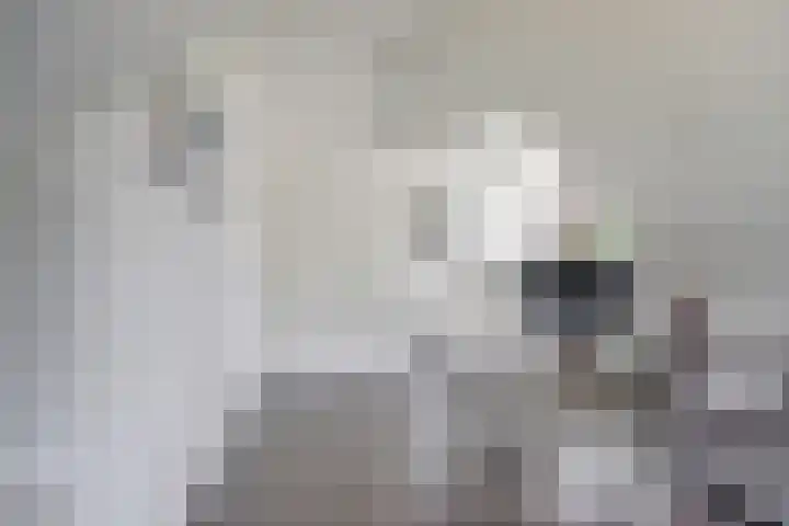 Zuidkade 93 Waddinxveen thumbnail 20