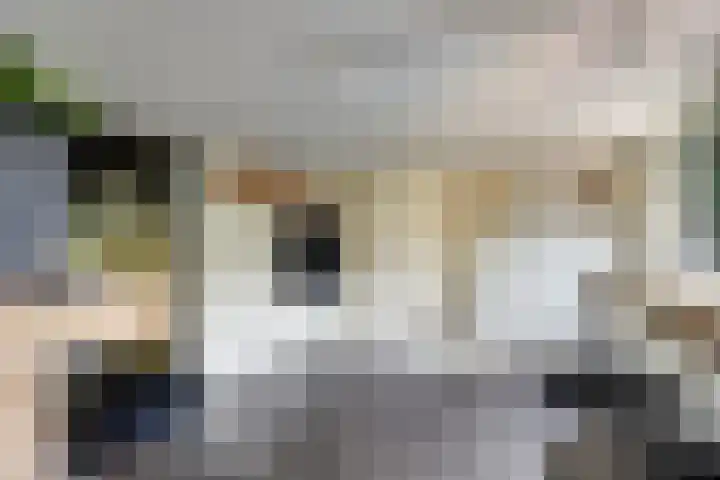 Zuidkade 93 Waddinxveen thumbnail 22