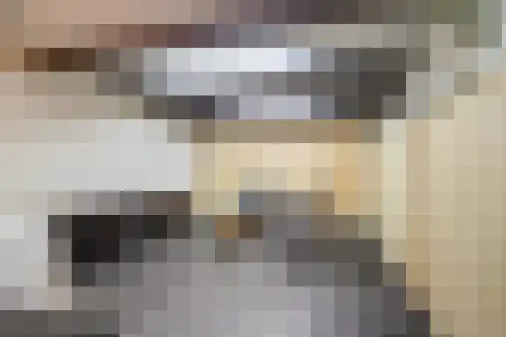 Zuidkade 93 Waddinxveen thumbnail 24