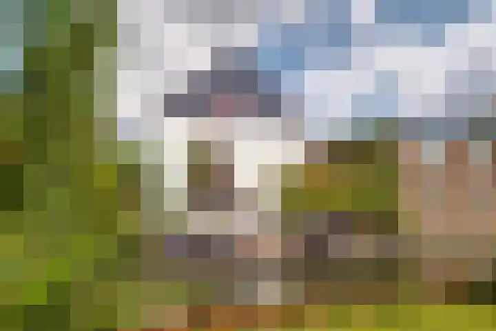 Zuidkade 93 Waddinxveen thumbnail 26