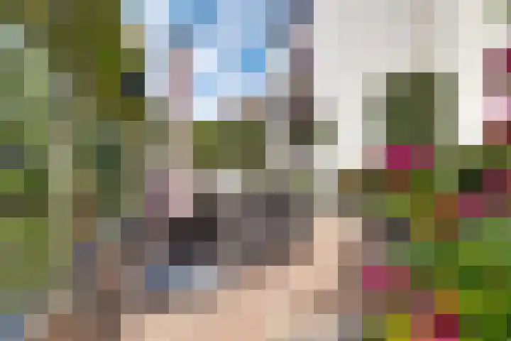 Zuidkade 93 Waddinxveen thumbnail 29